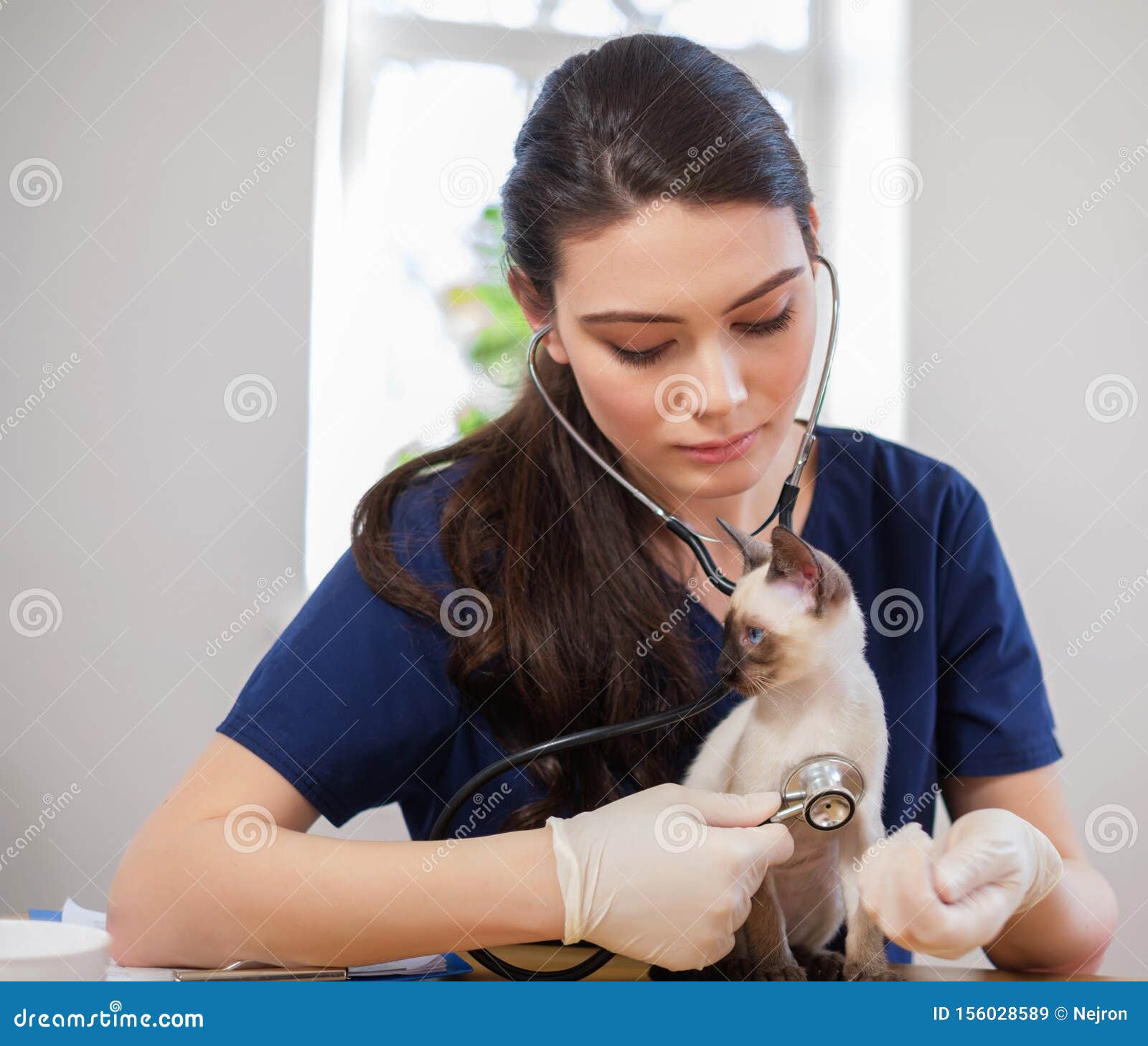 veterinary surgeon near me
