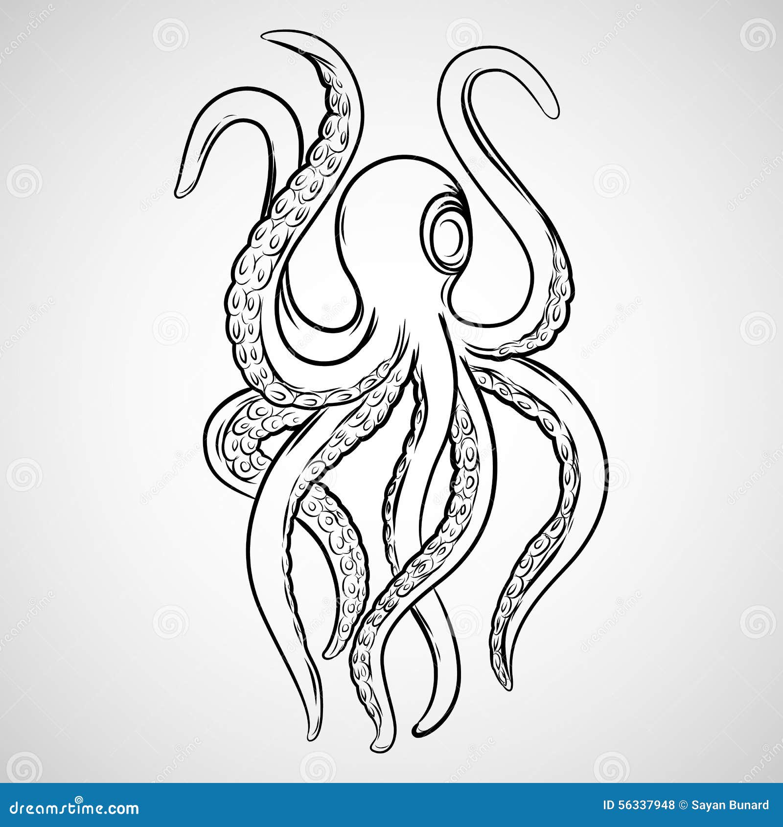 Vetor Da Tatuagem De Kraken Ilustração do Vetor - Ilustração de desenho,  oceano: 56337948, image size:1600x1690