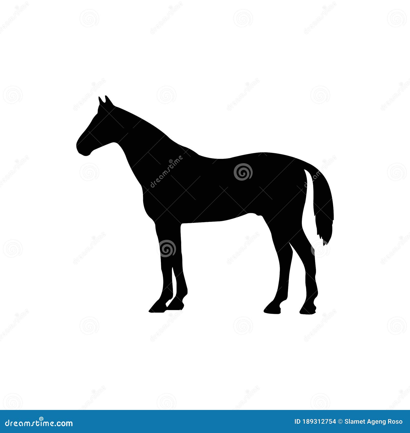 Design do logotipo da silhueta do garanhão do cavalo do cavaleiro