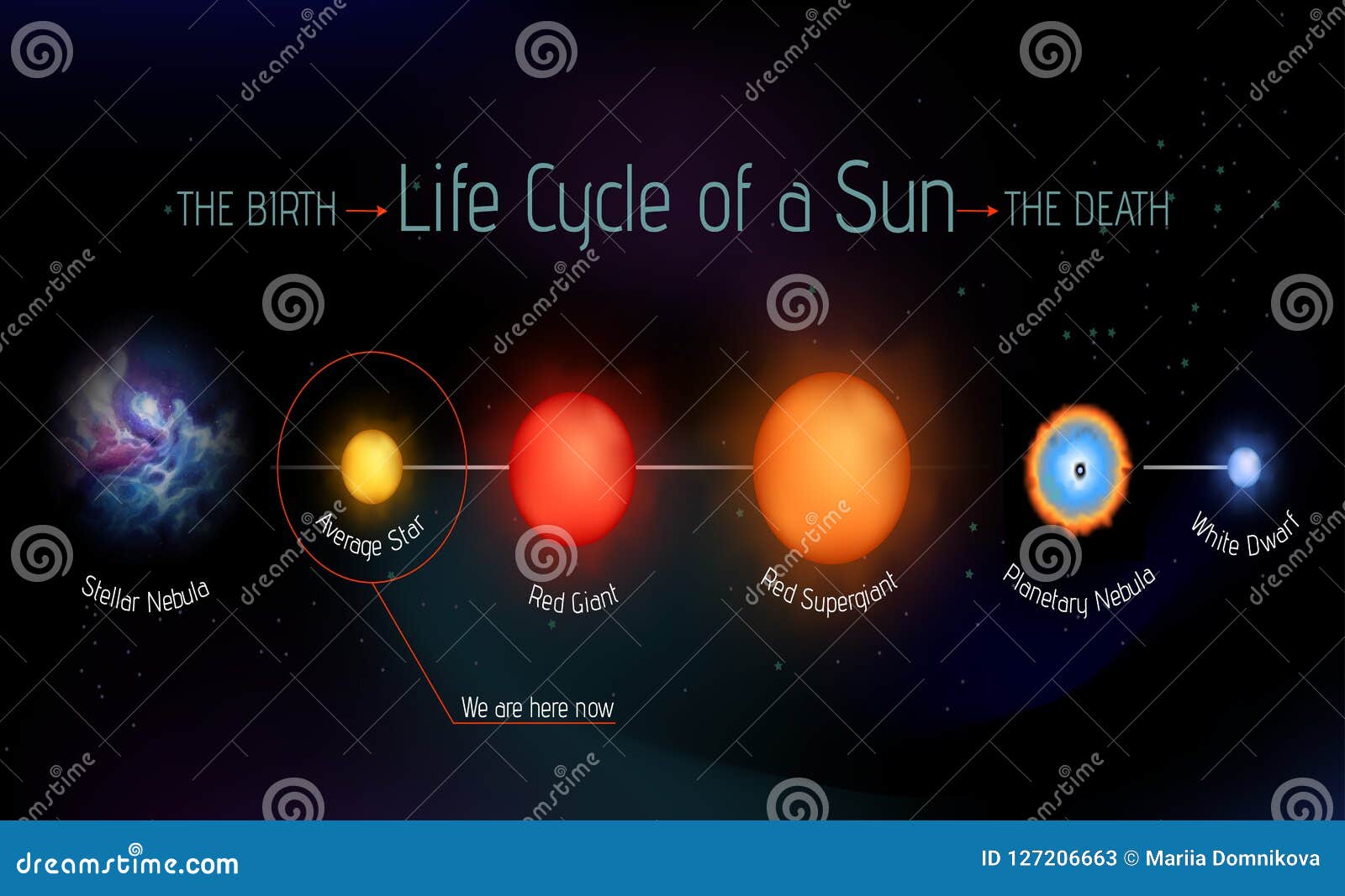 Vetor Do Ciclo De Vida De Sun Ilustração do Vetor Ilustração de