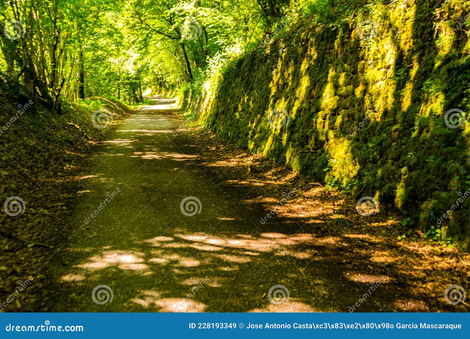 via verde del plazaola. navarra.