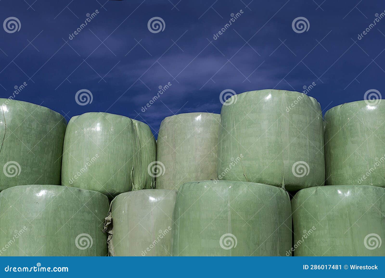 Vibrant Array of Straw Bales in a Sundrenched Meadow Stock Image
