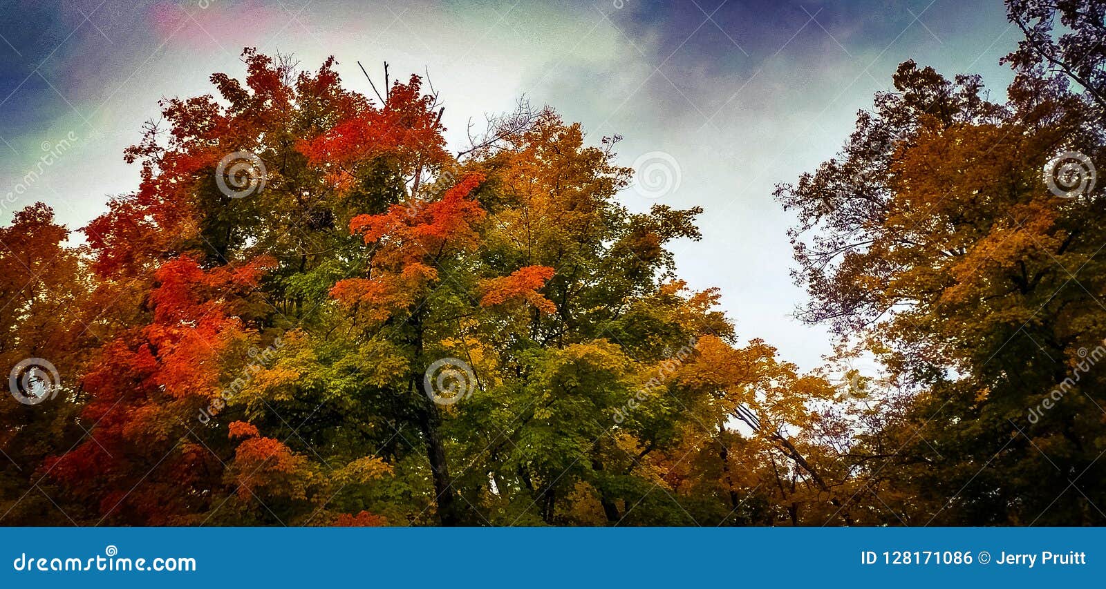 Vibrant Autumn Colors Of Minnesota Stock Photo - Image of foliage