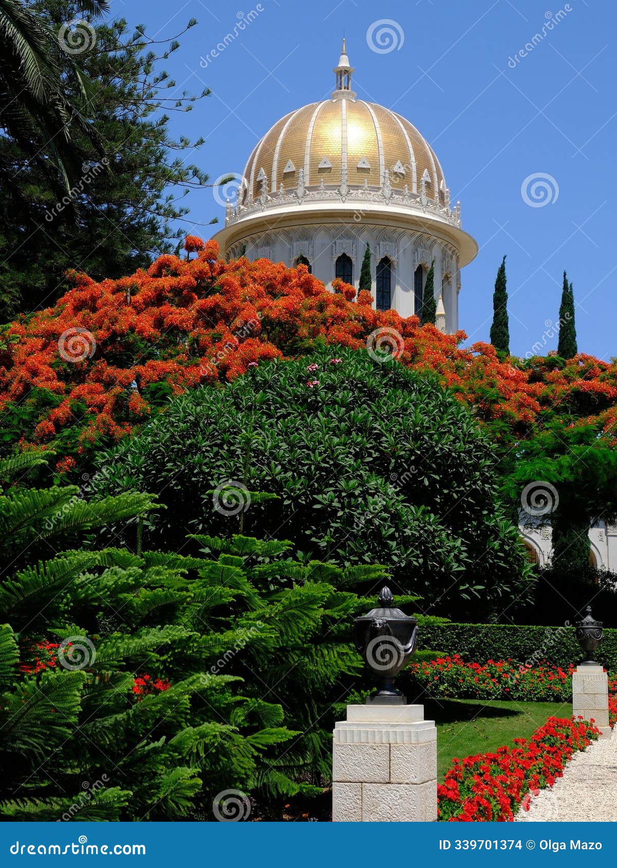vibrant bahai garden in haifa featuring a golden-domed temple surrounded by lush orange blooms, tall cypresses, and sculpted