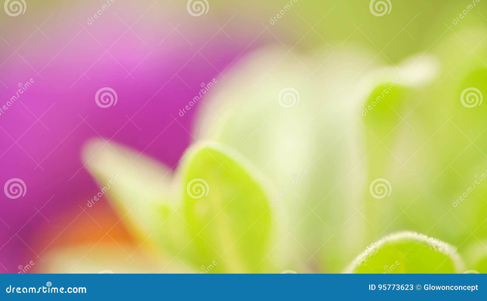 vibrant color magenta green nature background. abstract poweful, full of life summer image