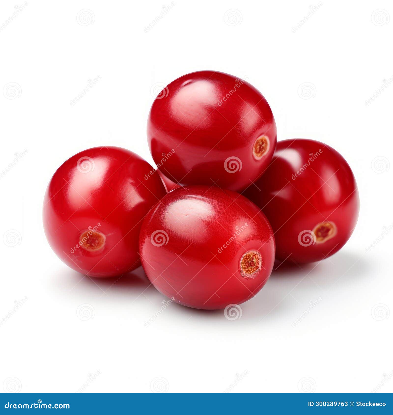 vibrant cranberry stock photo on white background