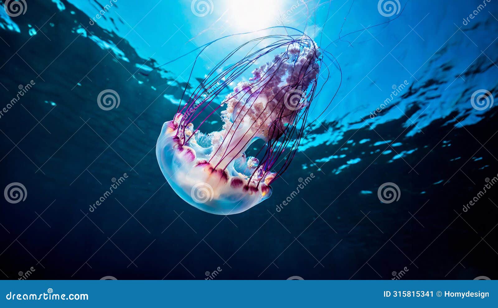 a vibrant jellyfish floats gracefully underwater, illuminated by light rays piercing the ocean s surface