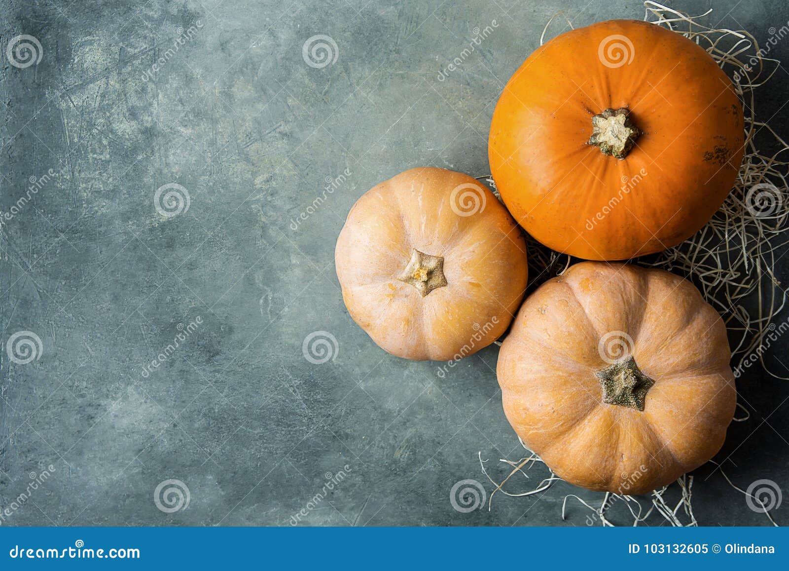 vibrant orange color pale peachy pumpkins of different size on straw on grey stone background. thanksgiving fall
