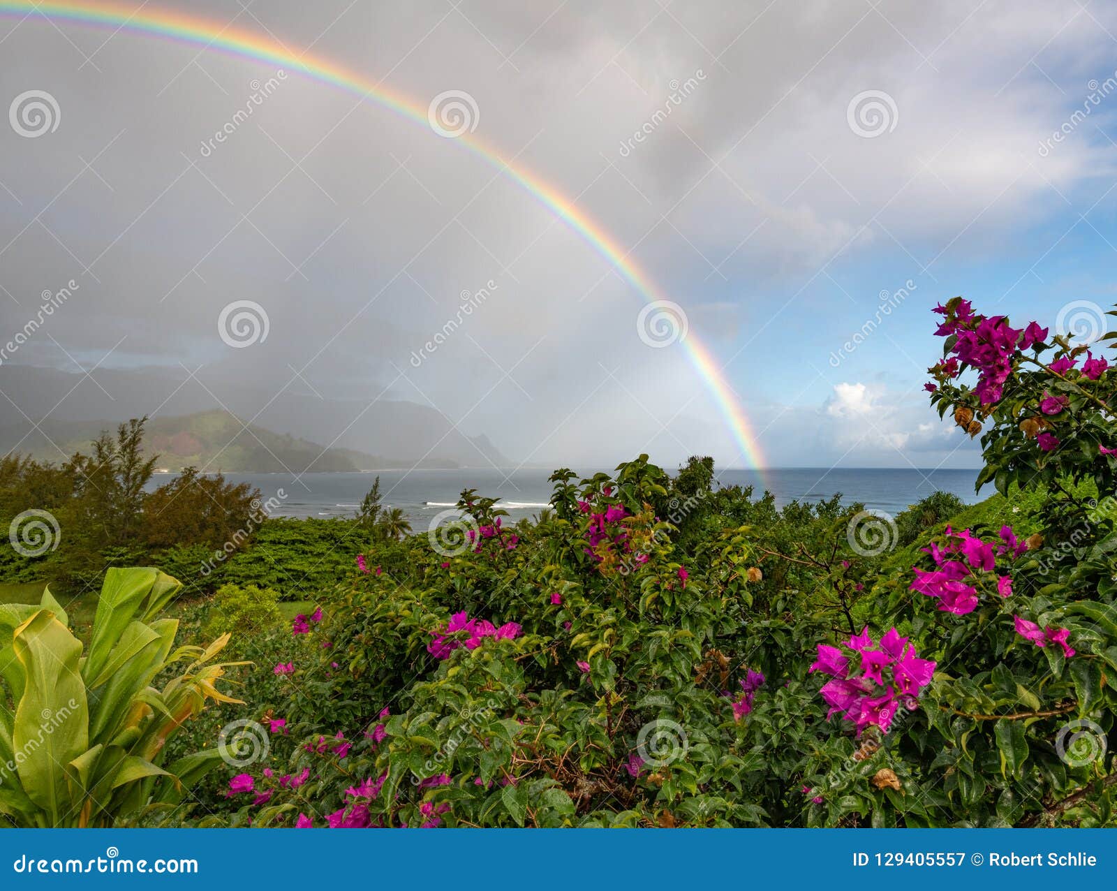 vibrant rainbow over ocean kauai, hawaii