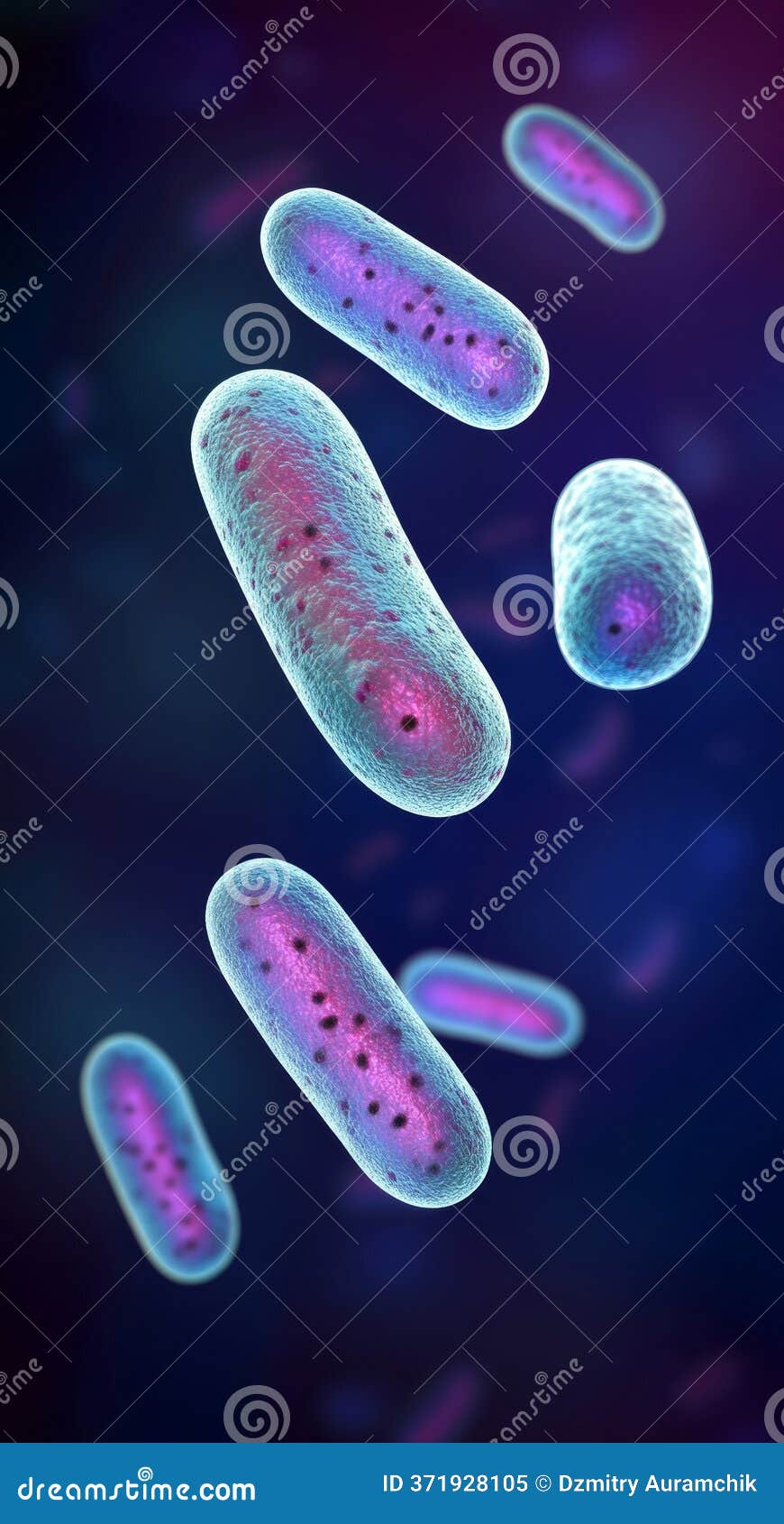 Vibrio Cholerae, the Gram-negative Rod-shaped Bacterium Responsible for  Cholera, is a Pathogen that Causes Infection Stock Image - Image of  diarrhea, medicals: 371928105, image size:870x1690