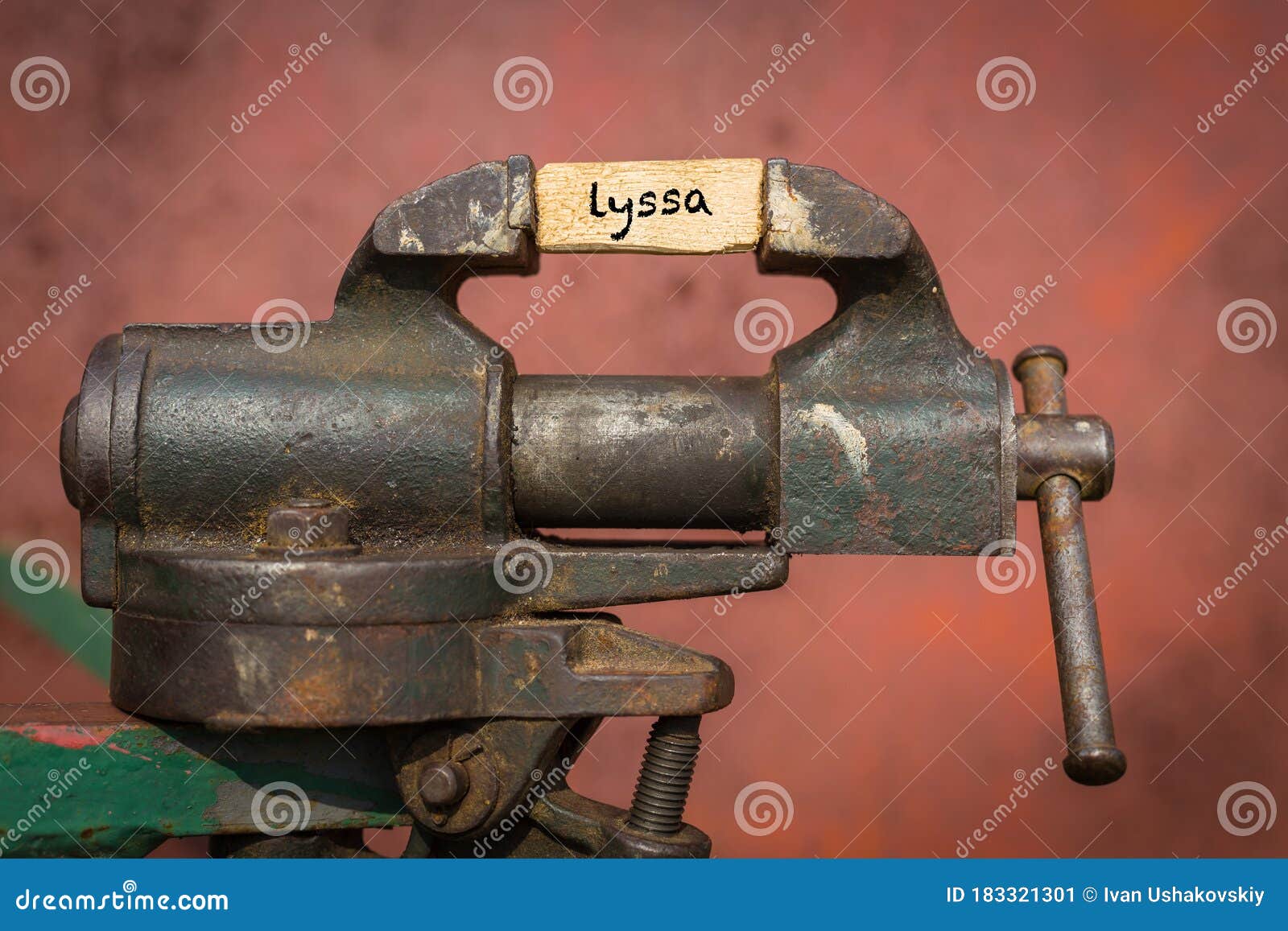 vice grip tool squeezing a plank with the word lyssa