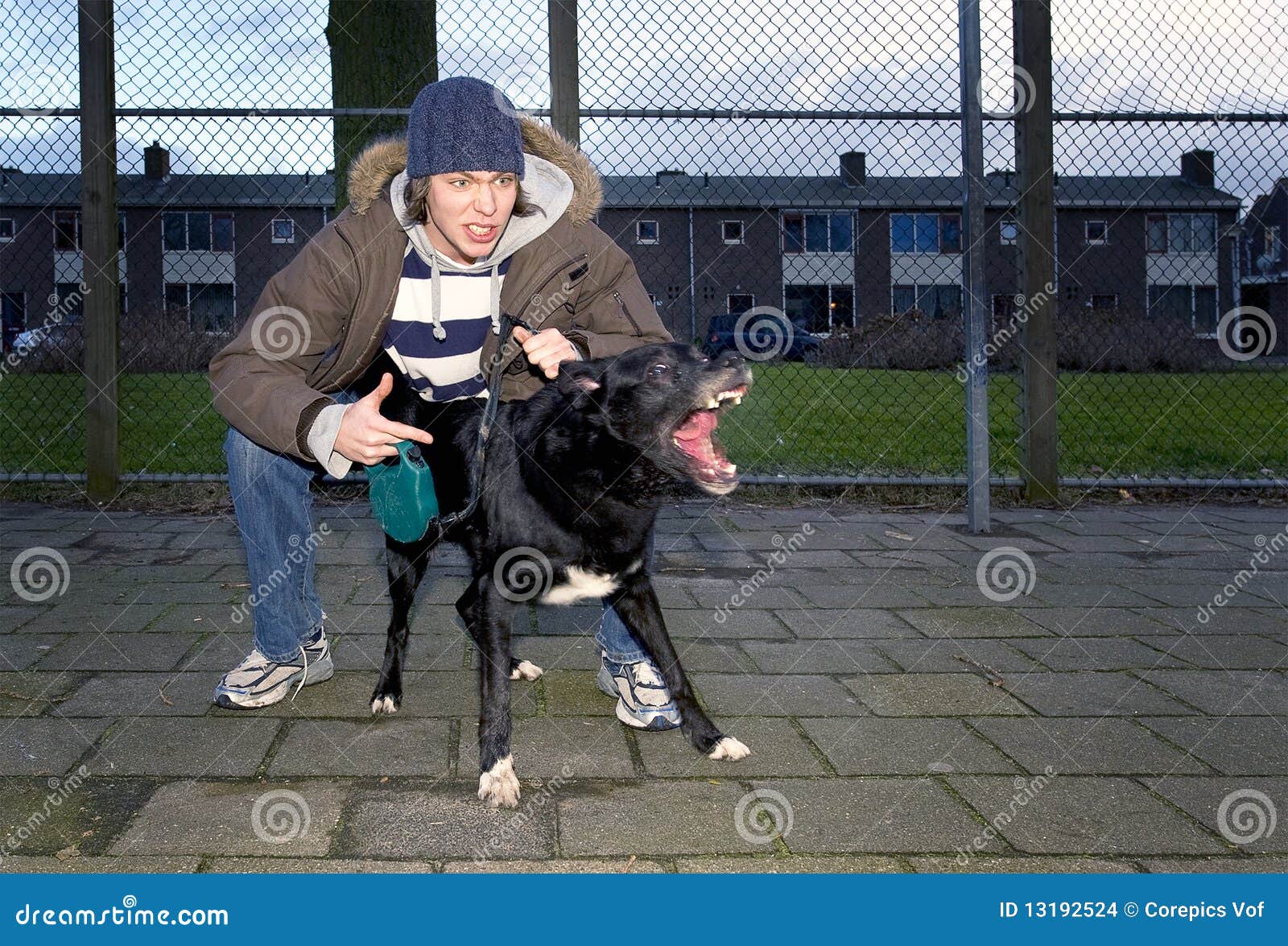 Vicious owner and dog stock photo. Image of attacking 13192524