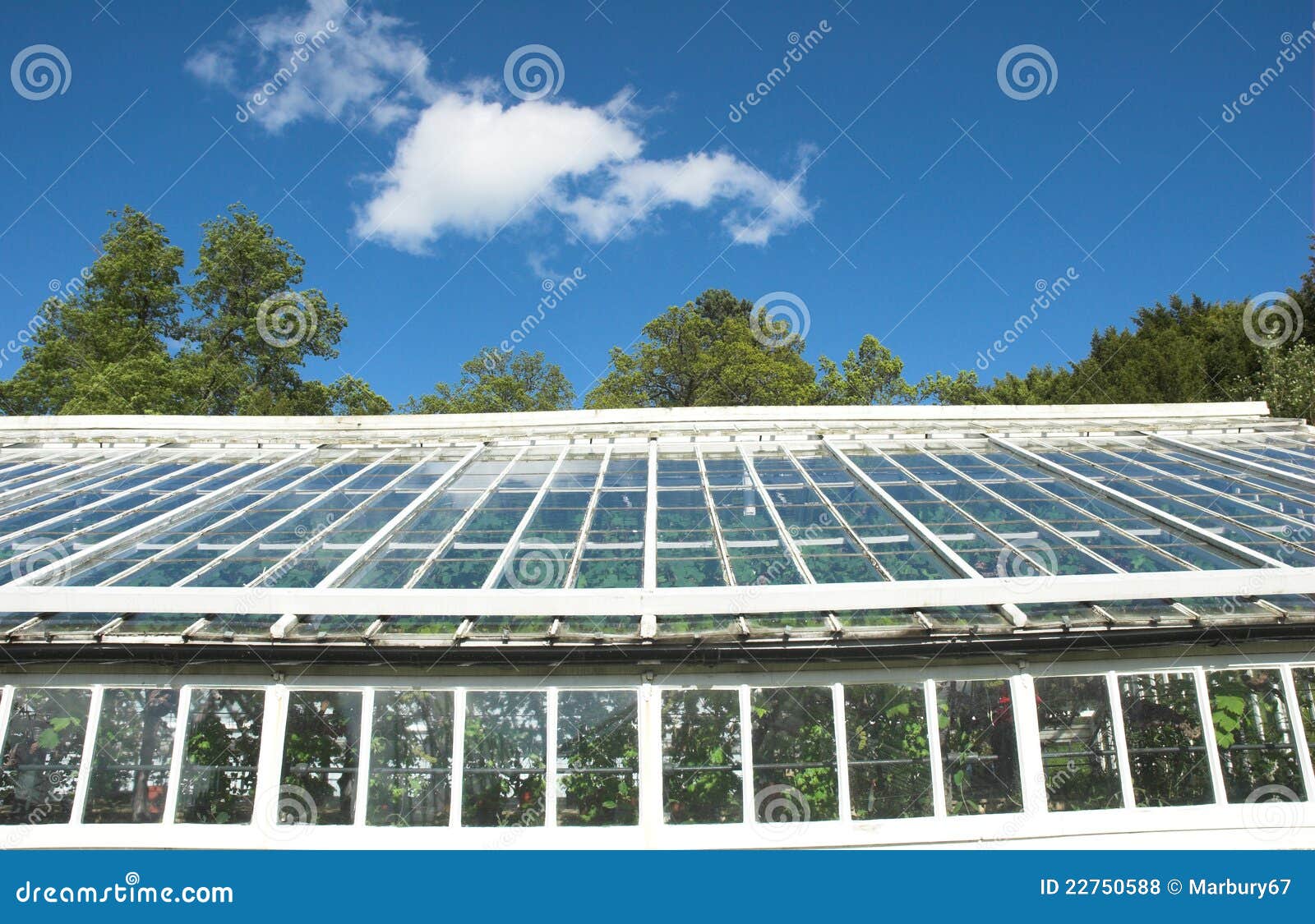 Victorian Glass House stock photo. Image of blue, wood 22750588