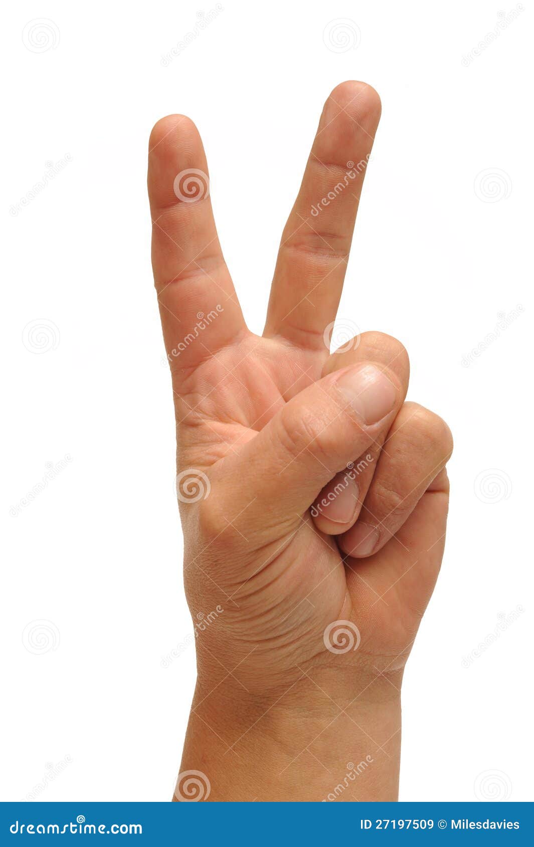 Victory hand sign stock image. Image of fingers, whitebackground 27197509