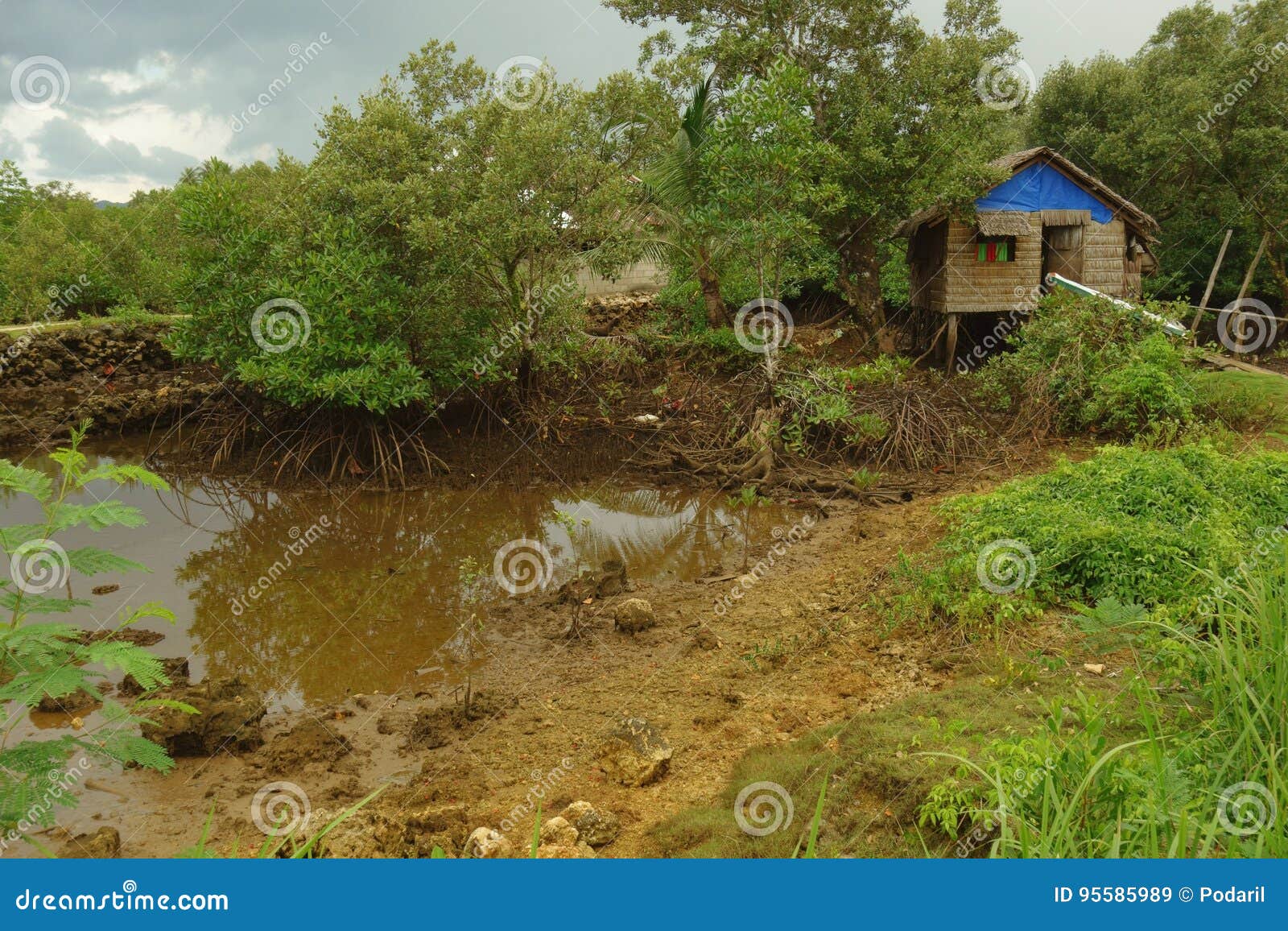 Vida en el campo filipino imagen de archivo editorial. Imagen de charca