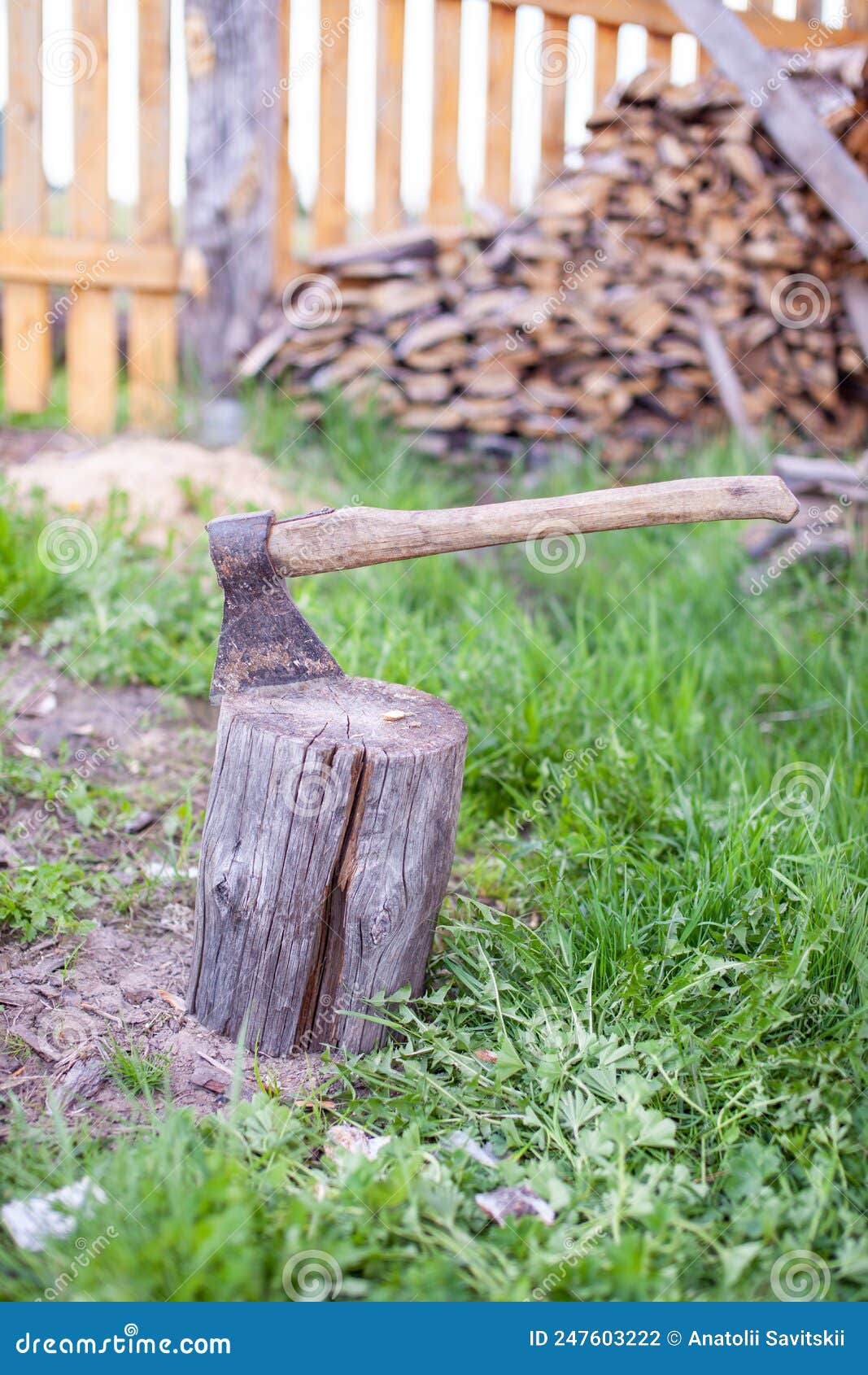 La vida del pueblo un hacha en un tocón o tronco para cortar leña hacha  oxidada pero muy afilada