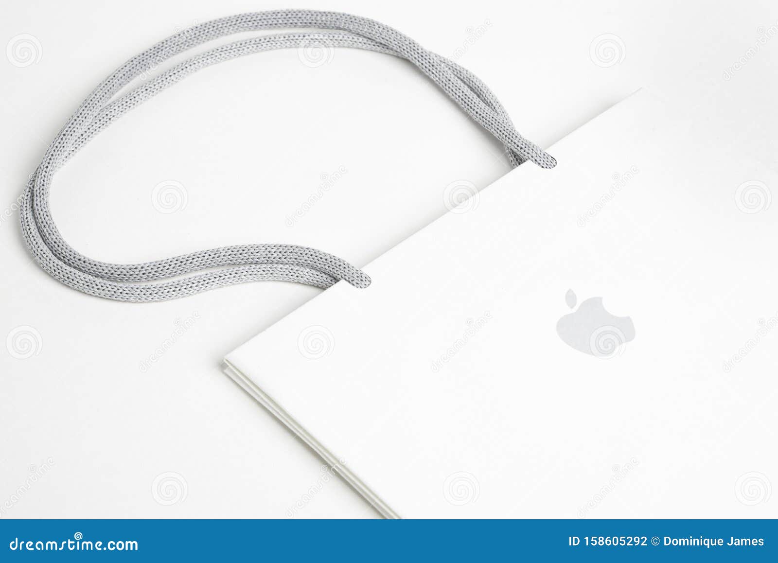 Apple Store Retail Paper Bag - Size: Medium