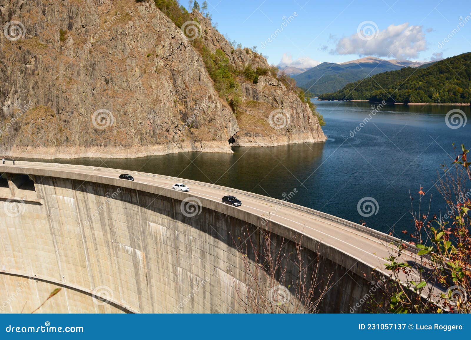 An event Vulgarity turtle View of Vidraru Dam and Lake. Arges County. Romania Stock Image - Image of  lake, transfagarasan: 231057137
