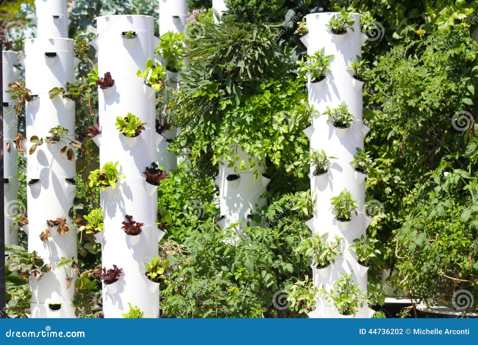 Vie Viable De Tour De Jardin Photographie éditorial Image 44736202