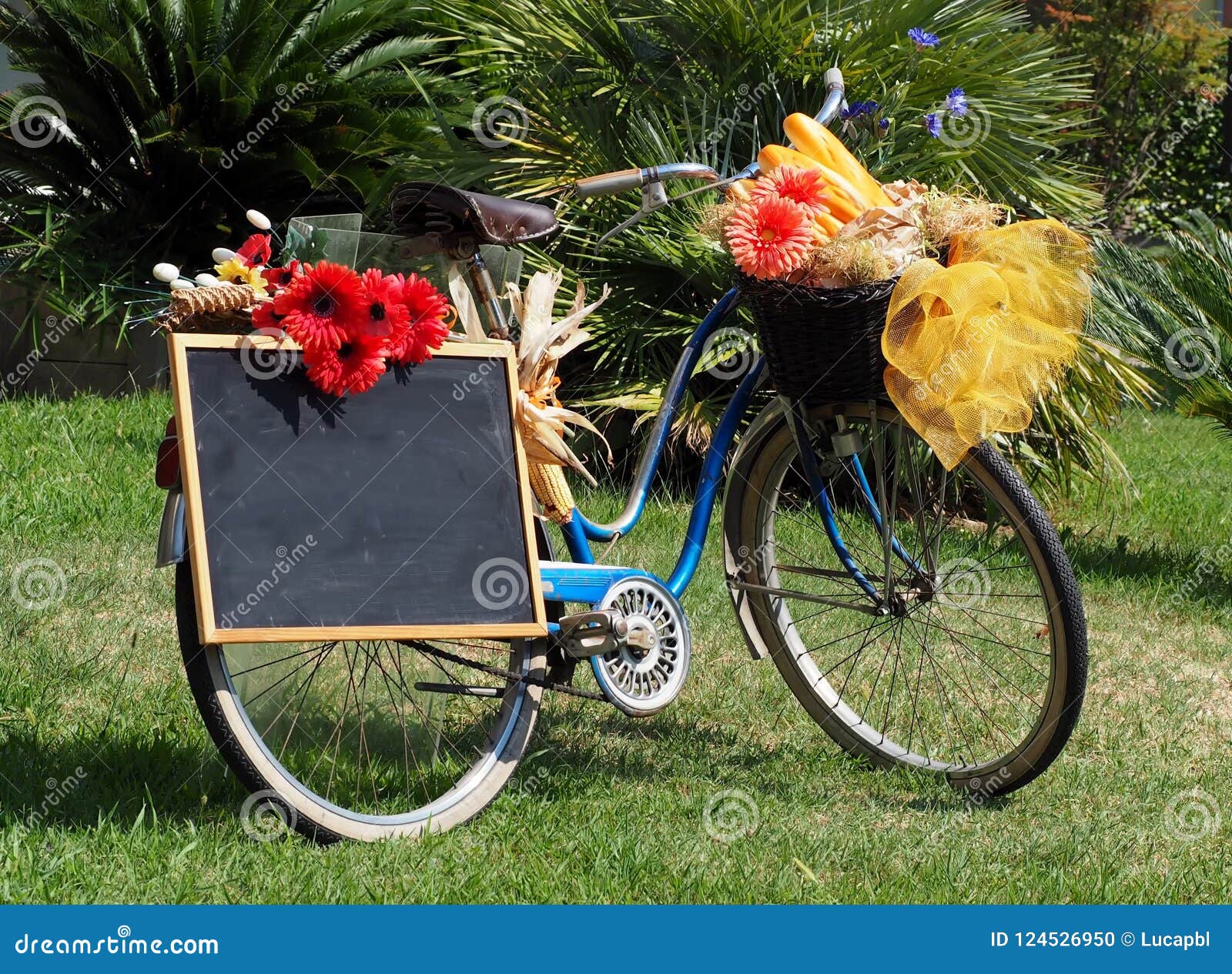 télécharger la bicyclette bleue