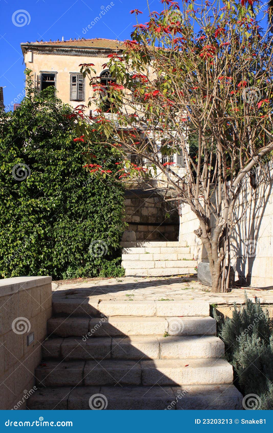 Vieille Construction, Nazareth Image stock Image du arbre, israel