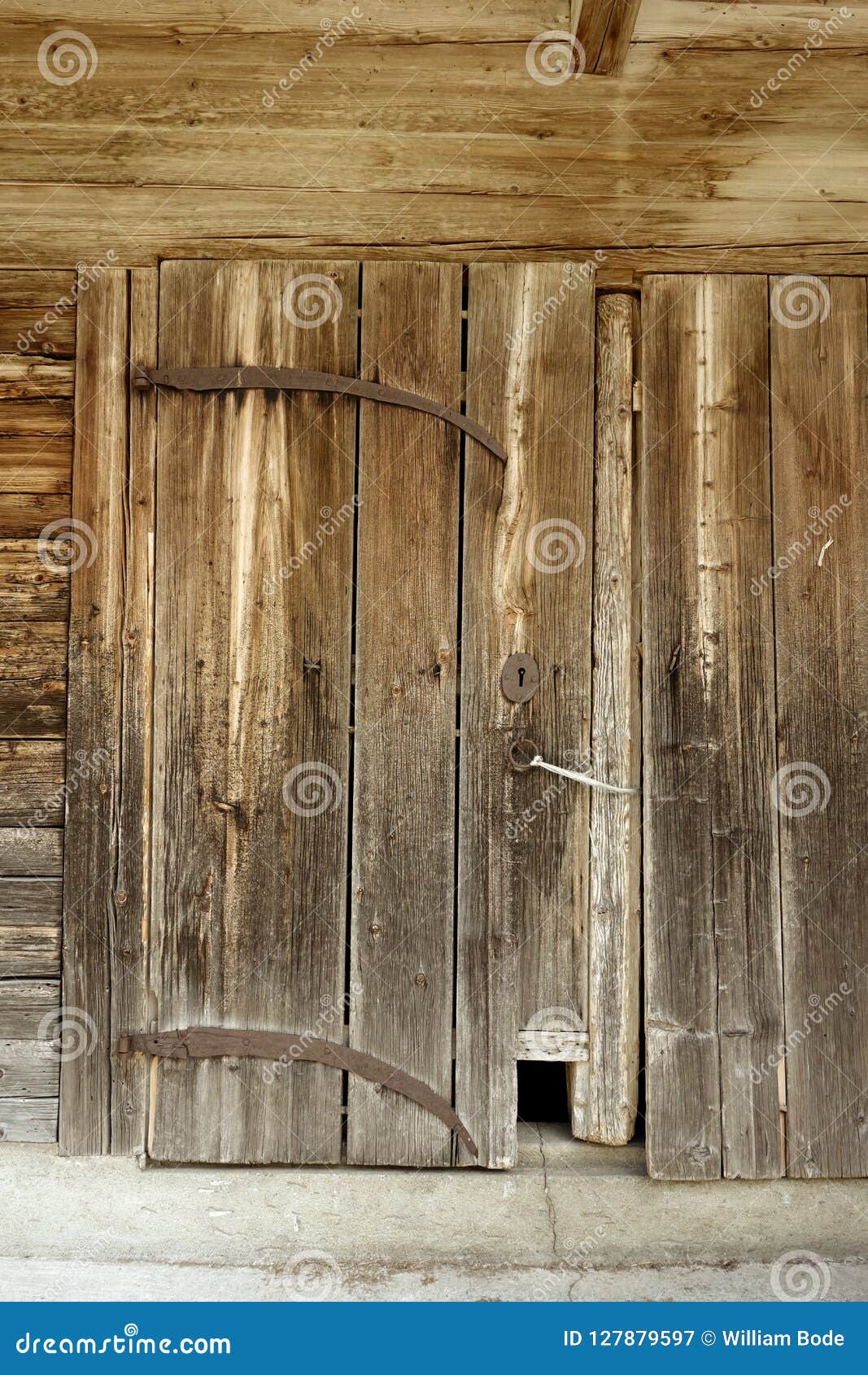 Vieille Porte De Grange En Bois Avec Cat Door Image Stock