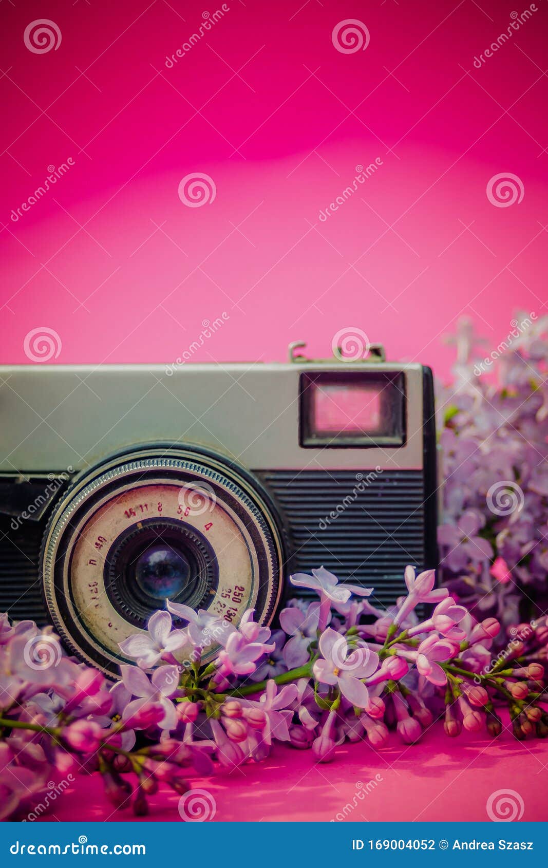 Vieille Radio Avec Des Fleurs Et Le Fond Rose Photo stock - Image