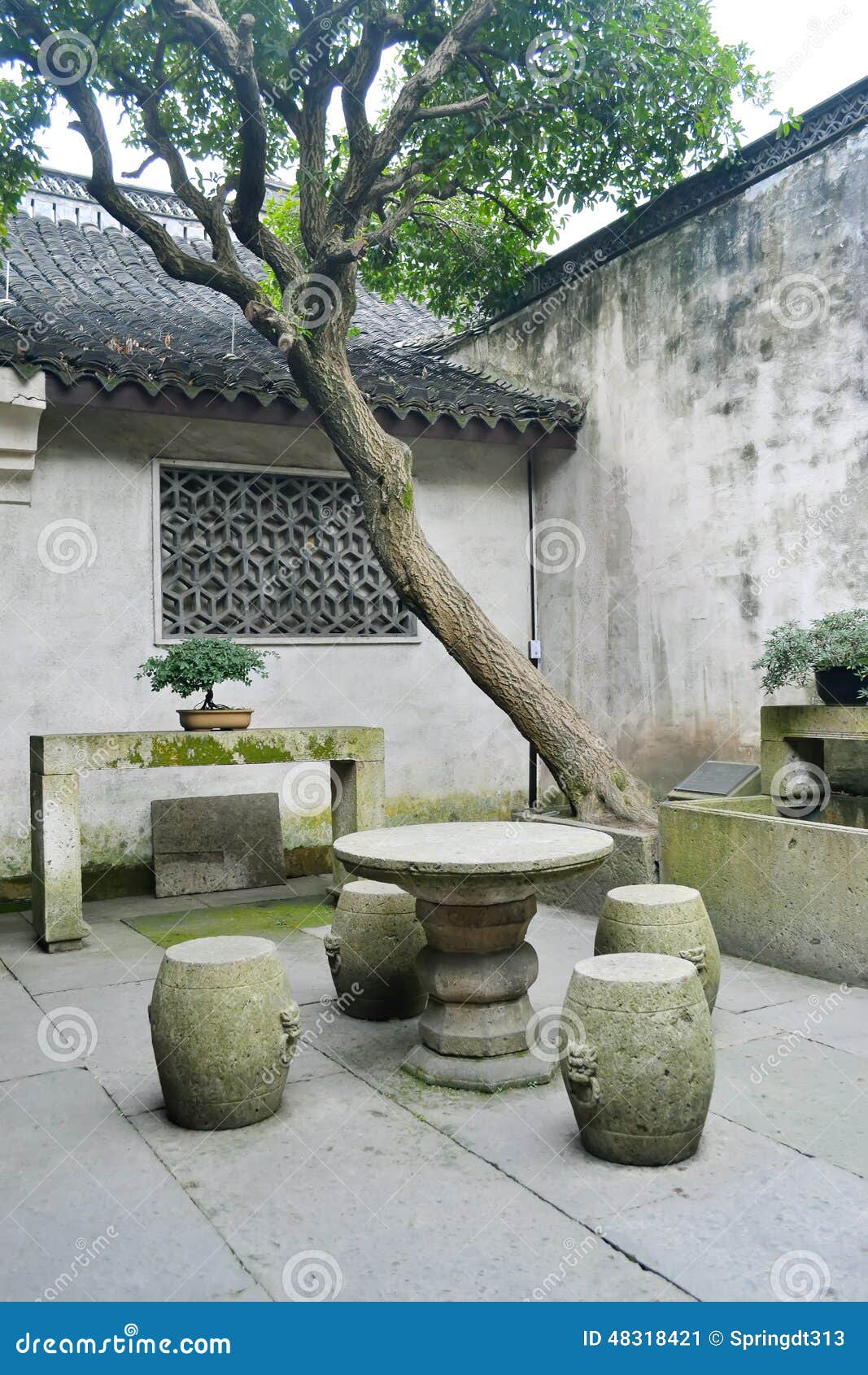 Vieja yarda de la casa imagen de archivo. Imagen de planta 48318421