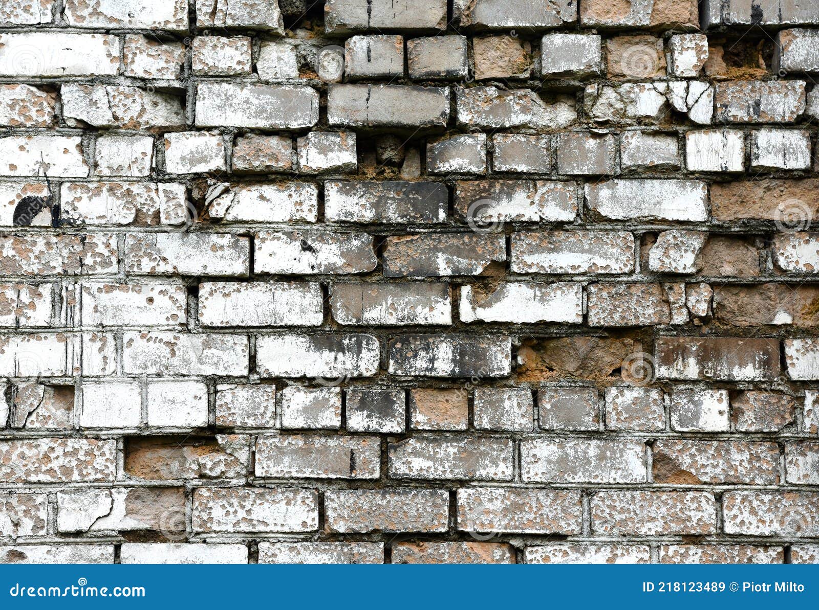 Huertos caseros en Nuevo México, image size:1600x1193