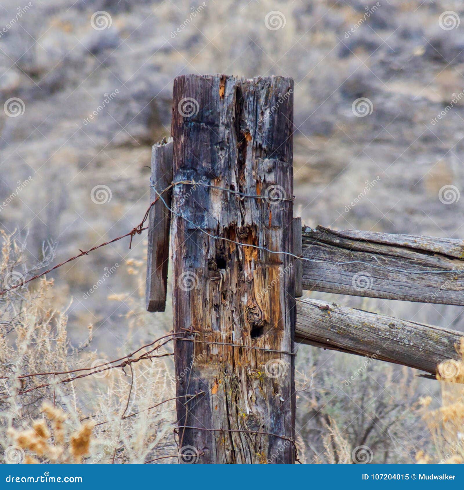 Viejo Oeste: Cerca Post Con Alambre De Púas Imagen de archivo - Imagen de  nublado, desierto: 107204015, image size:1600x1690