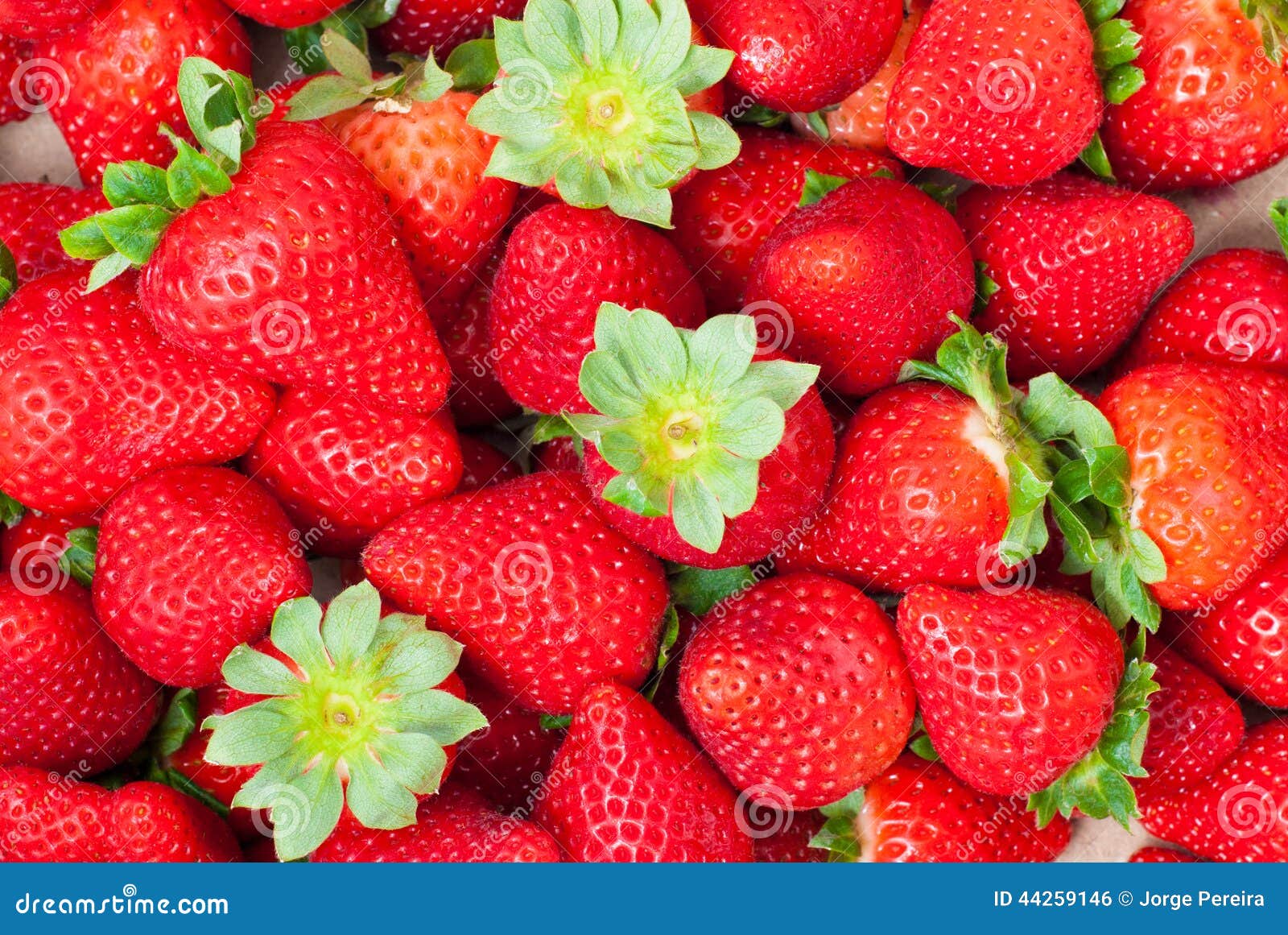 Viele Erdbeeren stockfoto. Bild von blatt, bündel, köstlich 44259146