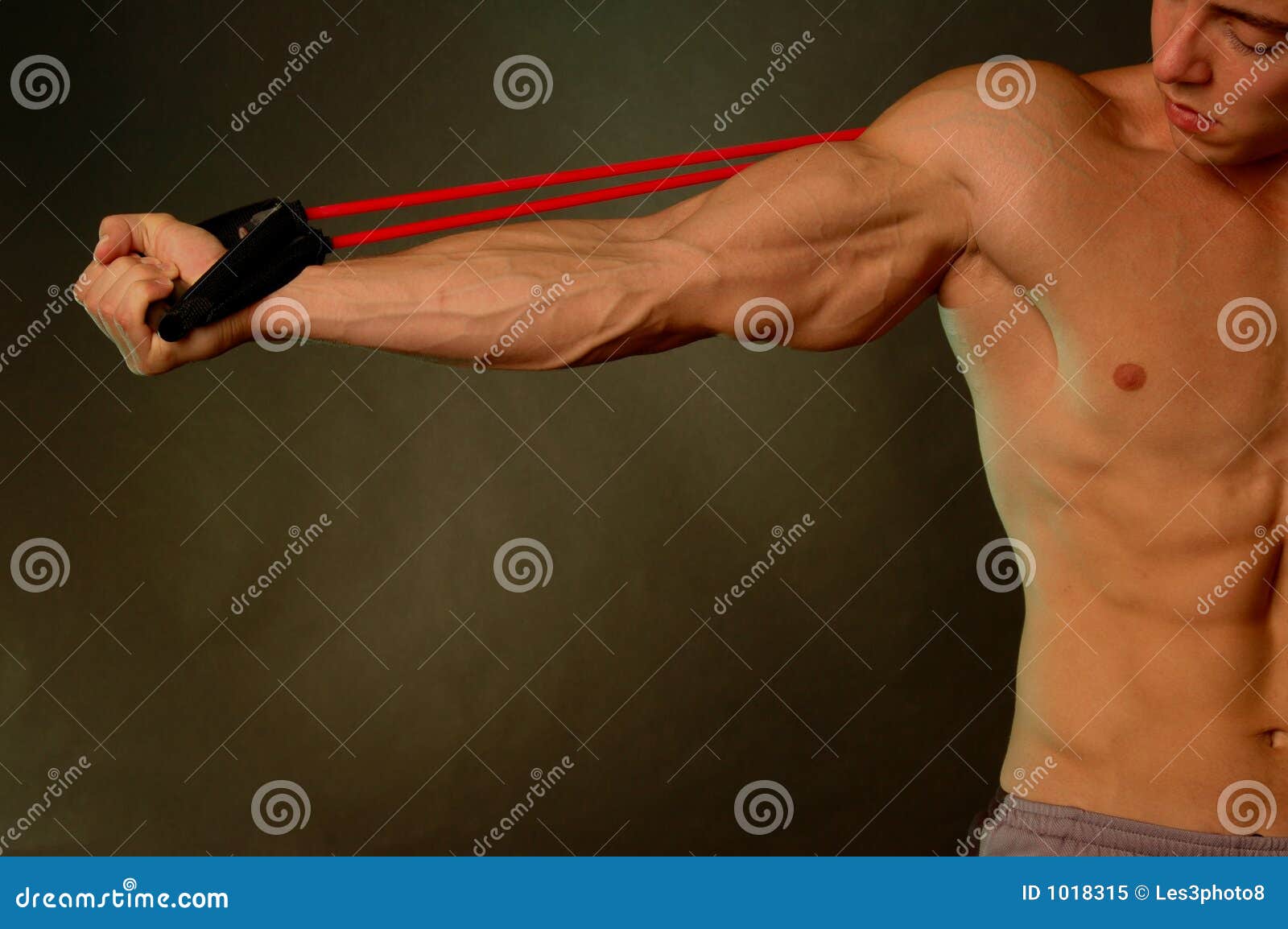 Vascular Arm Workout Full Body Workout Blog