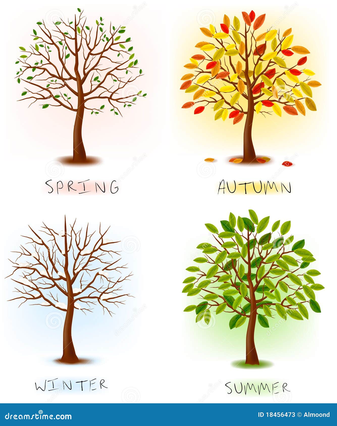 Яблоня в разные времена года. Дерево летом осенью зимой и весной. Дерево в разные времена года. Дерево зимой и летом детские.