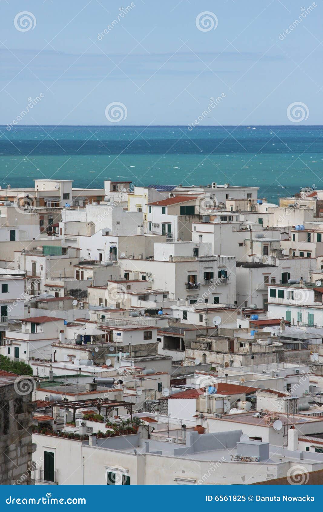 vieste view