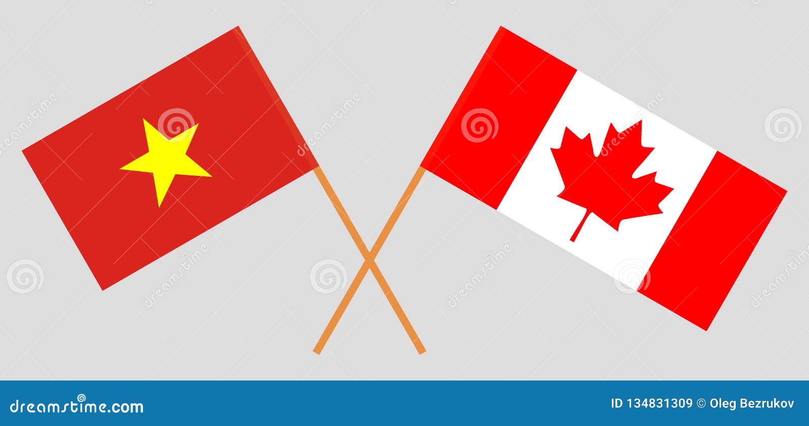 Vietnam and Canada. the Vietnamese and Canadian Flags. Official Colors ...