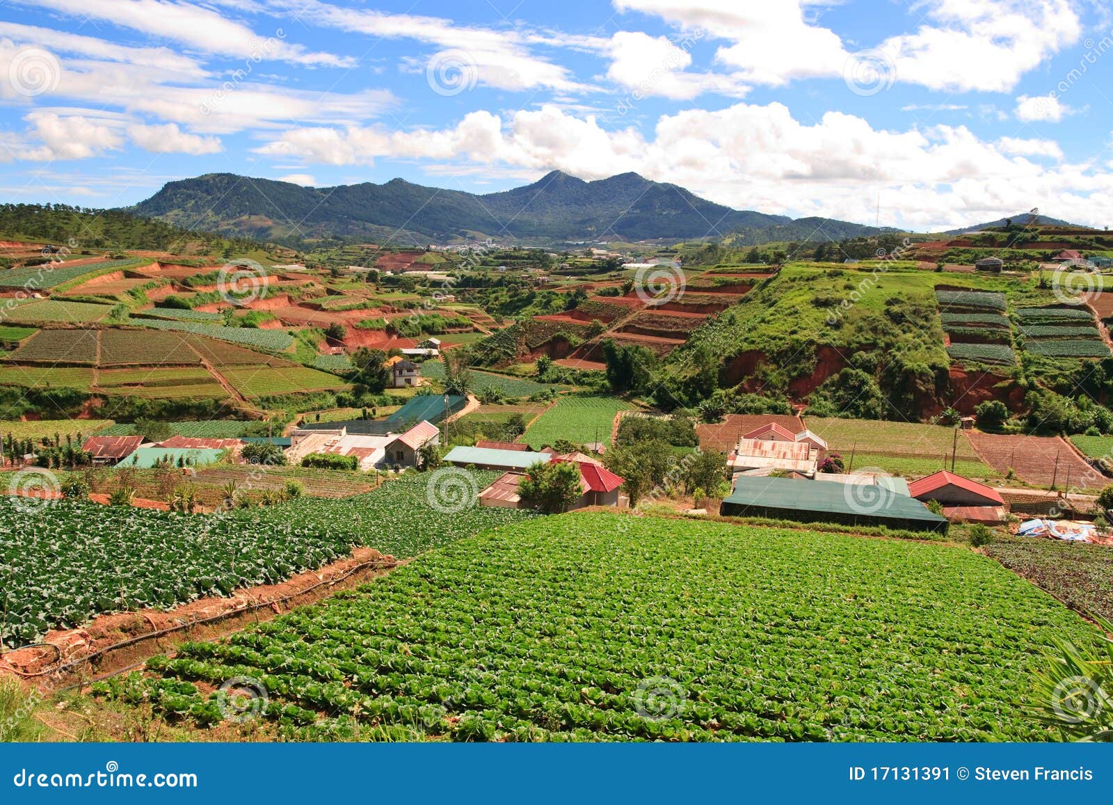 Vietnam Farmland stock image. Image of asia, home, farmland 17131391