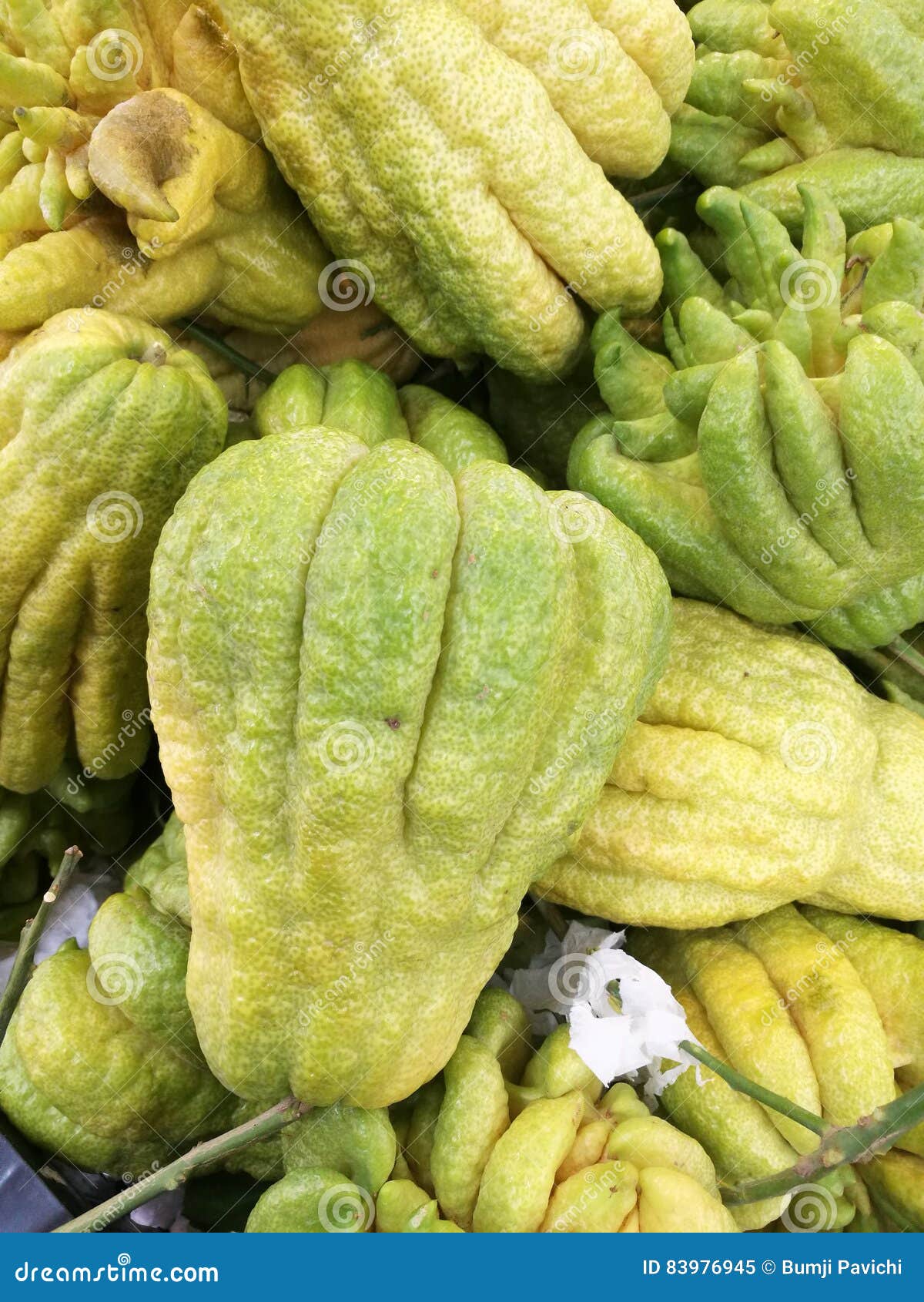 Vietnam pomelo stock image. Image of orange, traditional 83976945