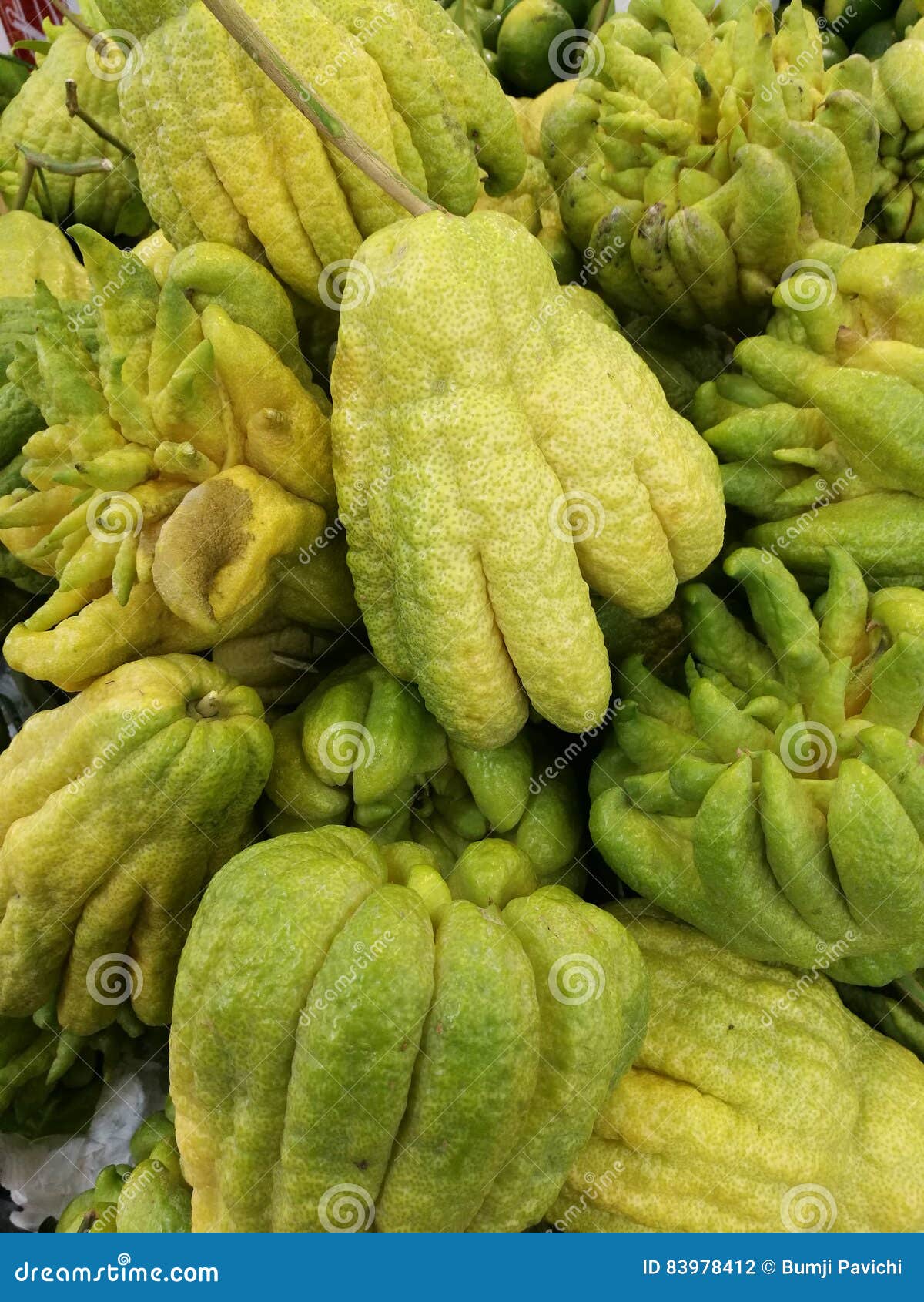 Vietnam pomelo stock photo. Image of produce, traditional 83978412