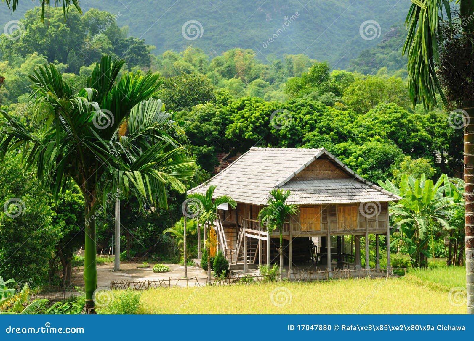VIetnam rural scene stock photo. Image of farm, viet 17047880