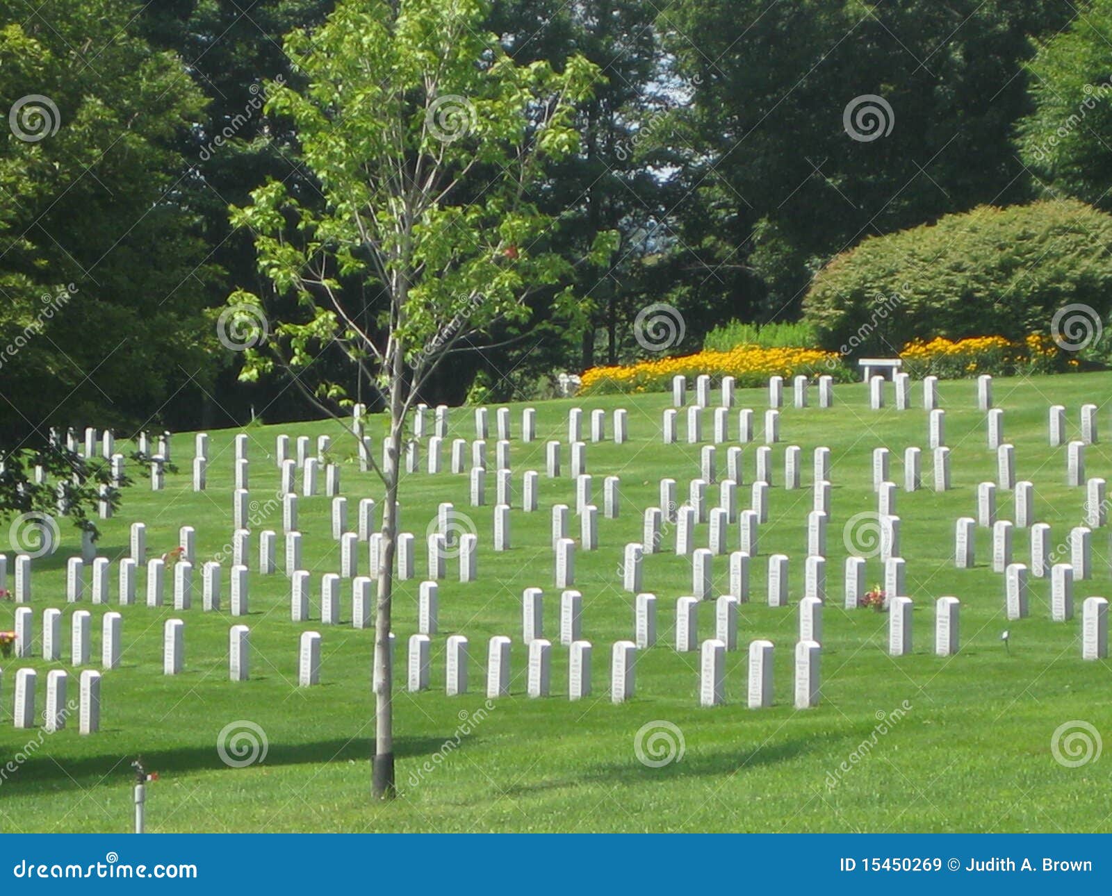 Vietnam Veterans Memorial Cemetery Editorial Stock Image Image of