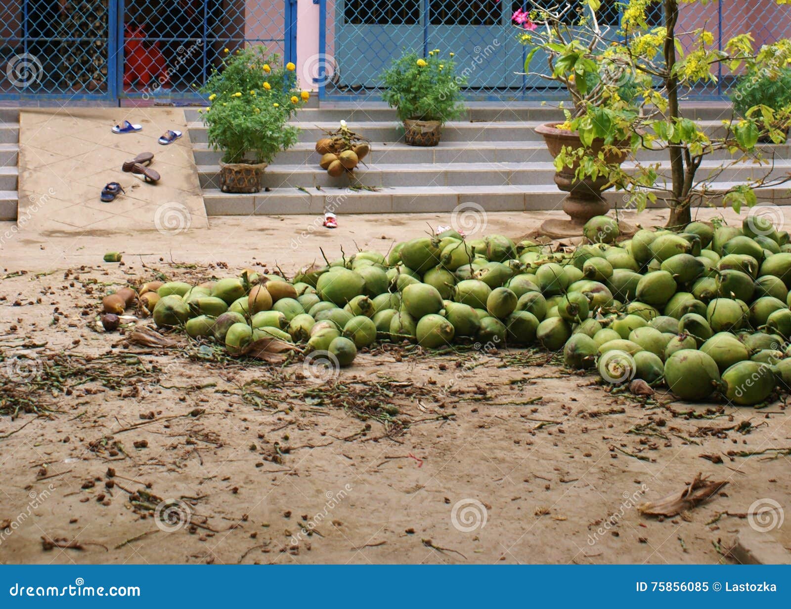 Vietnamese courtyard editorial image. Image of mountain 75856085