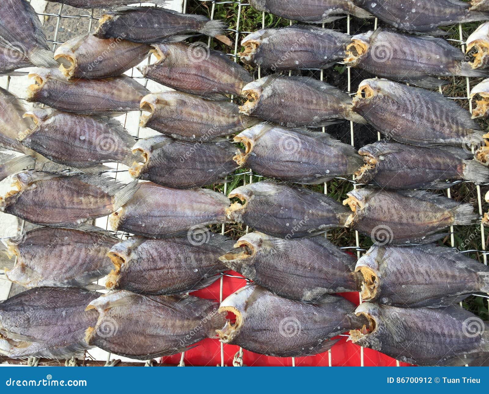 The Vietnamese Cuisine Seafood Dried Fish Stock Photo Image of