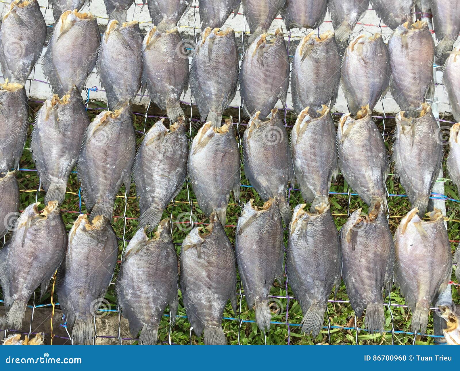 The Vietnamese Cuisine Seafood Dried Fish Stock Photo Image of