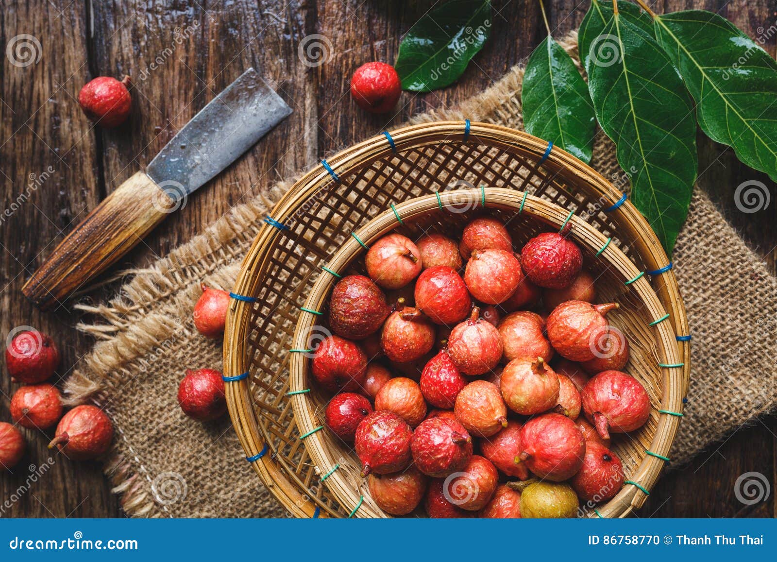 Vietnamese Figs stock photo. Image of sunlight, leaf 86758770