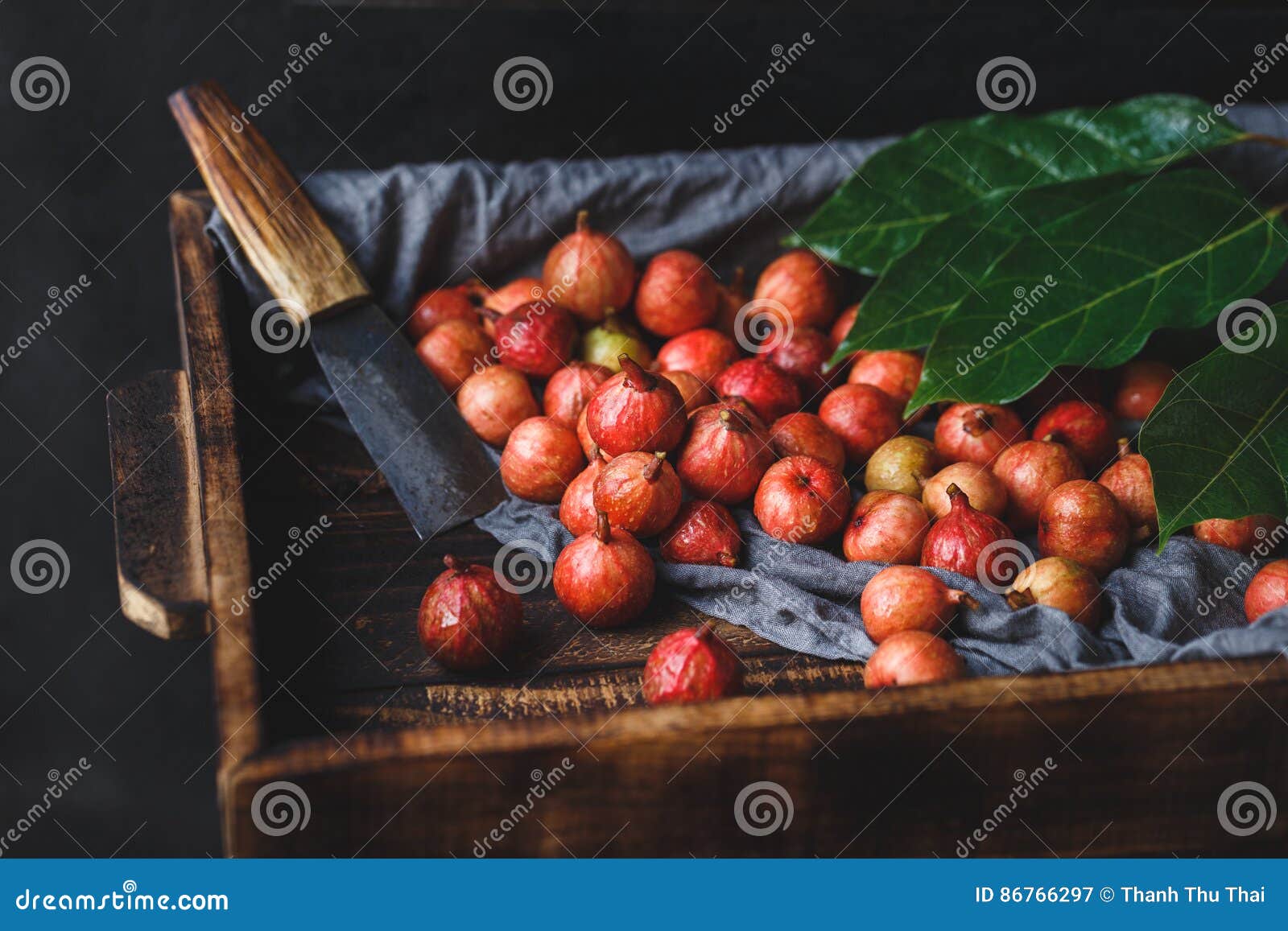 Vietnamese Figs stock image. Image of tropical, dark 86766297