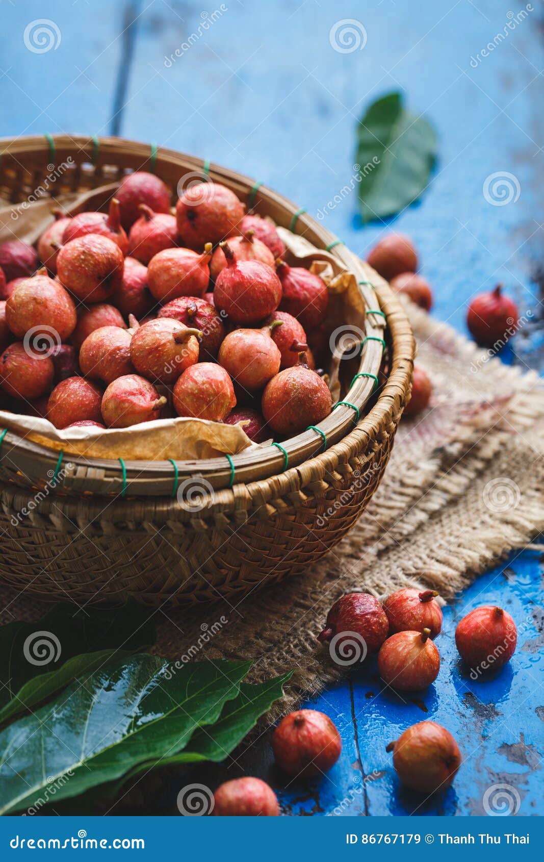 Vietnamese Figs stock image. Image of sung, tasty, vietnam 86767179