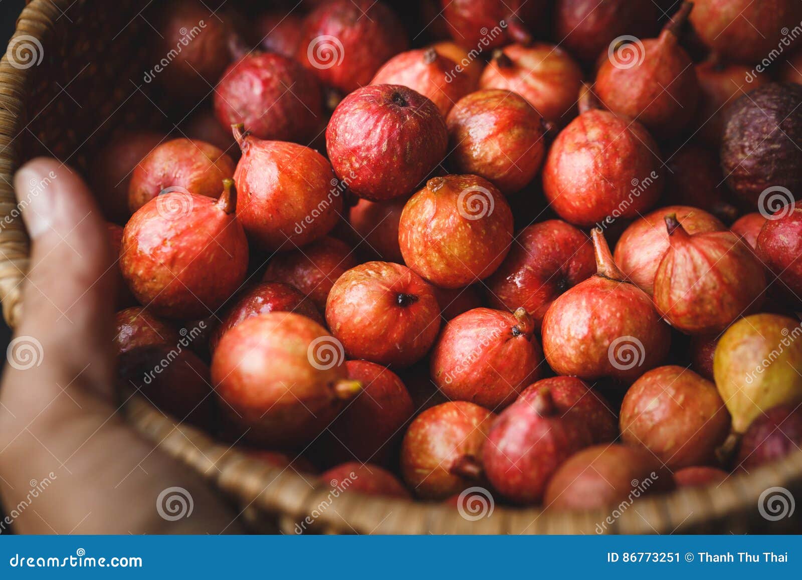 Vietnamese Figs stock image. Image of leaf, tray, basket 86773251
