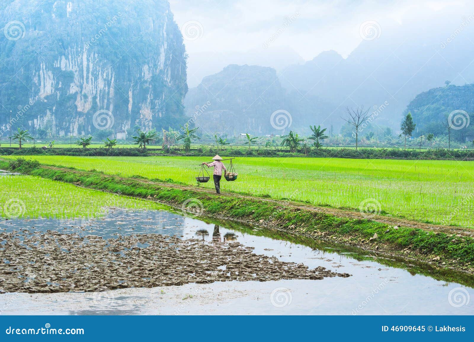 Vietnamese Landbouwer Die Bij Padieveld Werken Ninh Binh, Vietnam ...