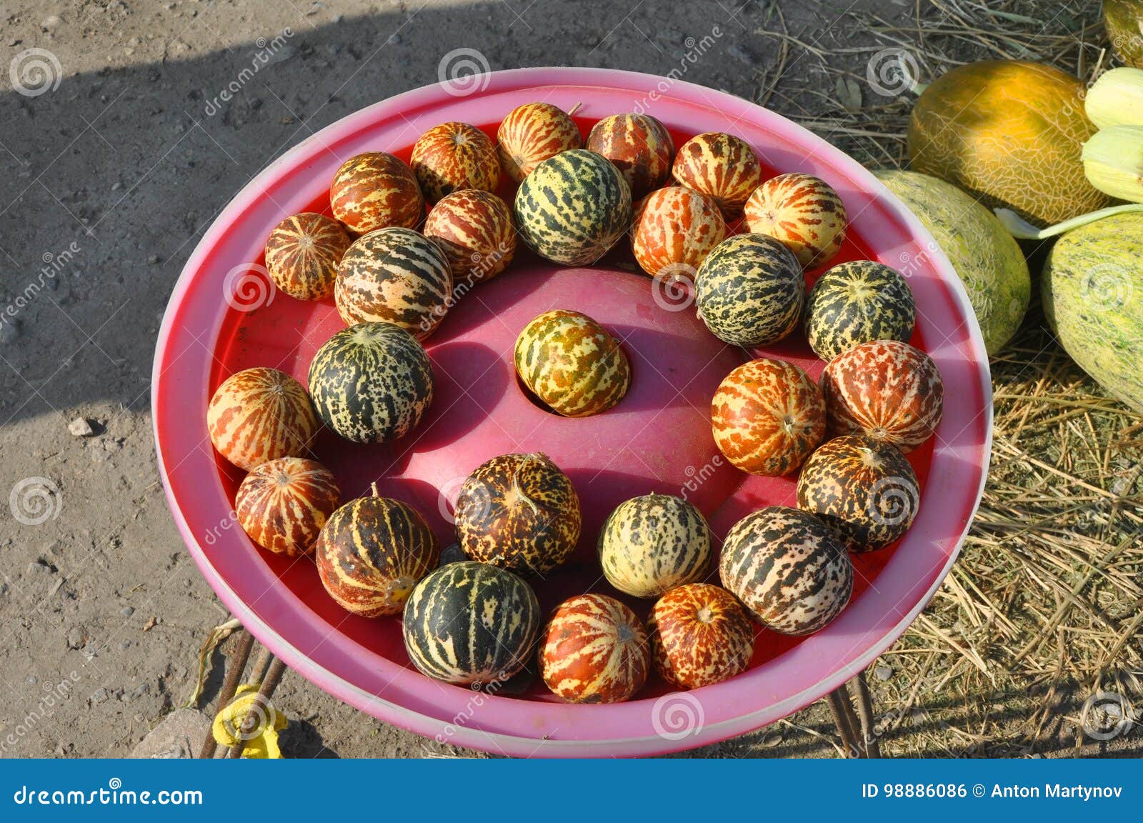 Vietnamese melon stock photo. Image of yellow, vietnamese 98886086