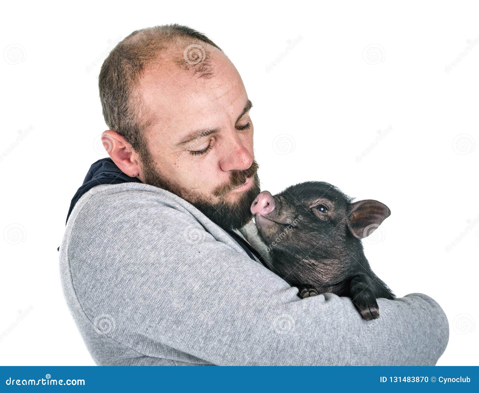 Vietnamese pig and man stock photo. Image of potbelly 131483870